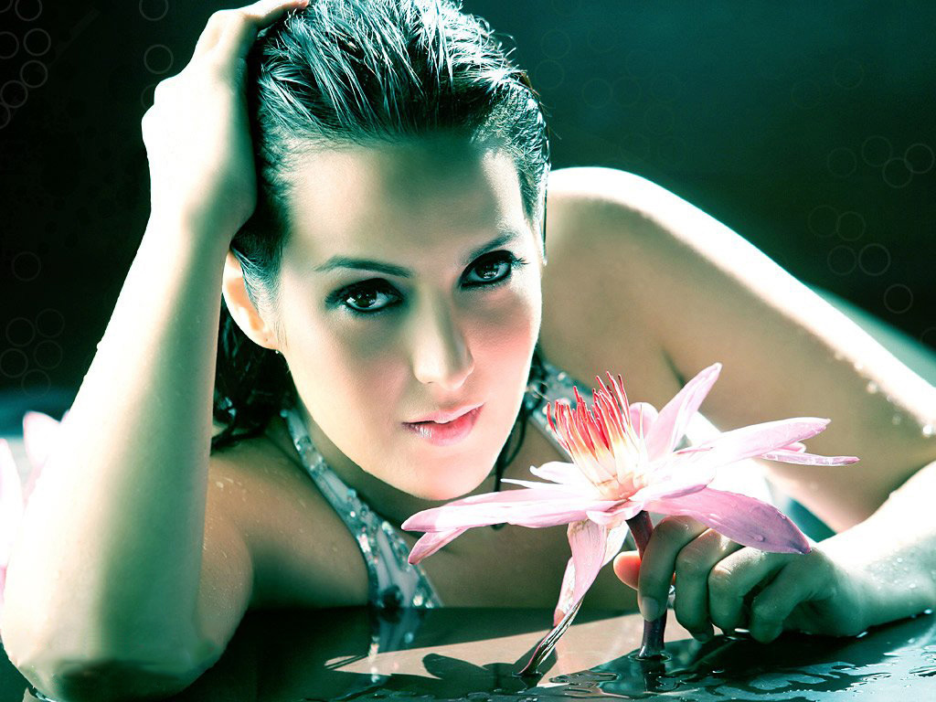 Tulip Joshi HD wallpaper